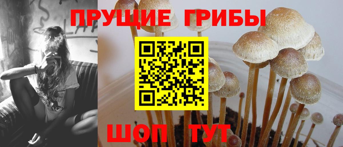 Галлюциногенные грибы ЛСД  Вход с VPN  Алейск 