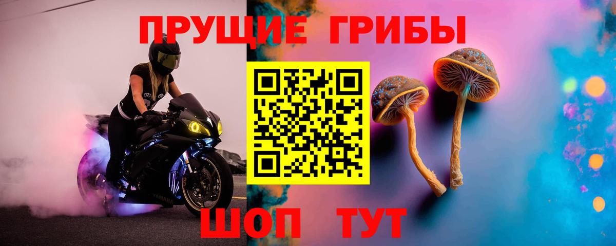 Псилоцибиновые грибы мицелий Алейск